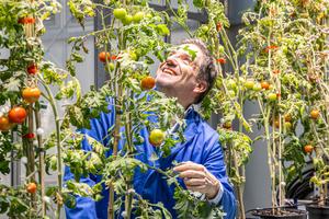 CIBSS scientist Prof. Dr. Thomas Ott.