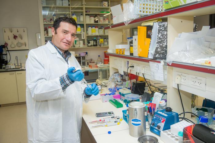 Bar-Ilan University researchers identify a possible key to reversing aging