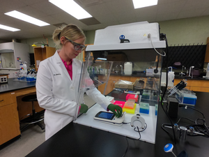 Dr. Kimberly L. Metris in Lab