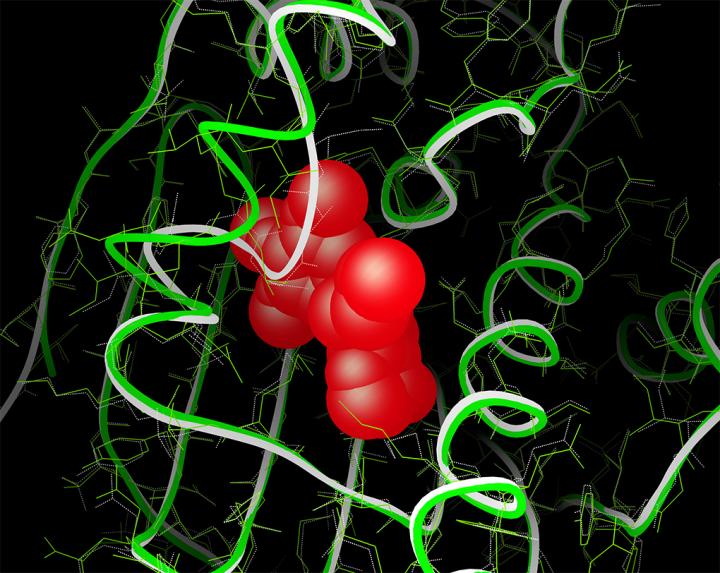 Computational Biology at TSRI