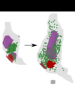 3D synapse reconstruction