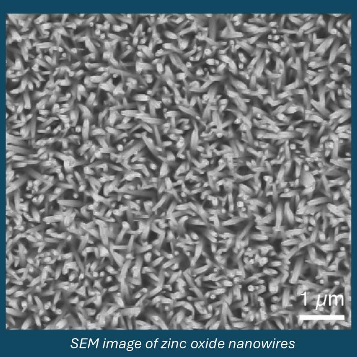 SEM image of zinc oxide nanowires