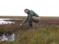 Arctic Pond 2012