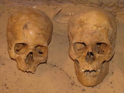 Different Human Types Found in the Excavation