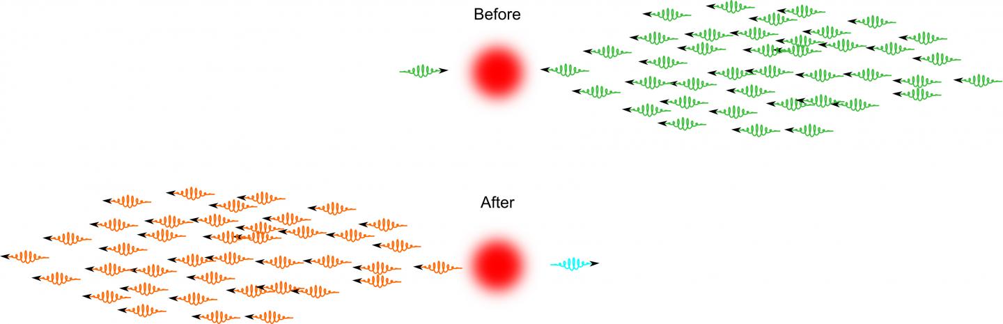 A Measurable Nonlinear Phase Shift Caused by a Single Photon on a Pulse with Many Photons