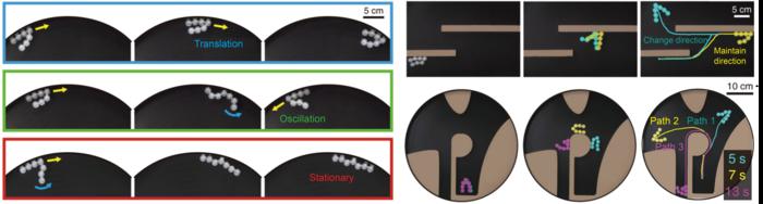 Picture 2. Movement of linkbots showing different gaits and directions depending on their link configuration.