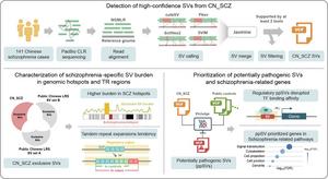 Overview of the analytical framework for SVs from the CN_SCZ cohort.