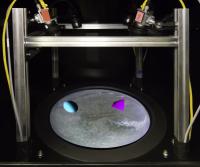 VR Arena for Fish