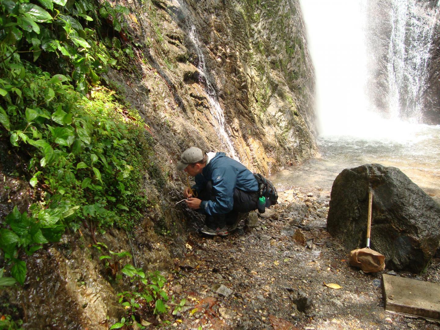 Looking for Beetles