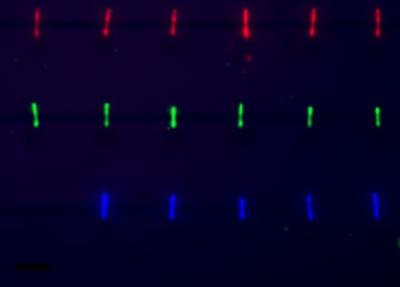 Assembled Nanowires