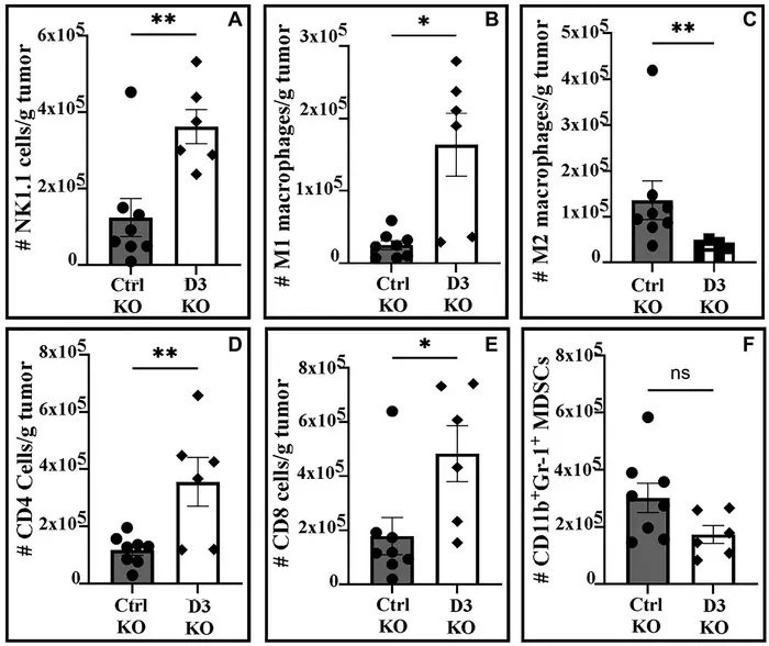DHHC3 interferes with antitumor immunity in melanoma cells