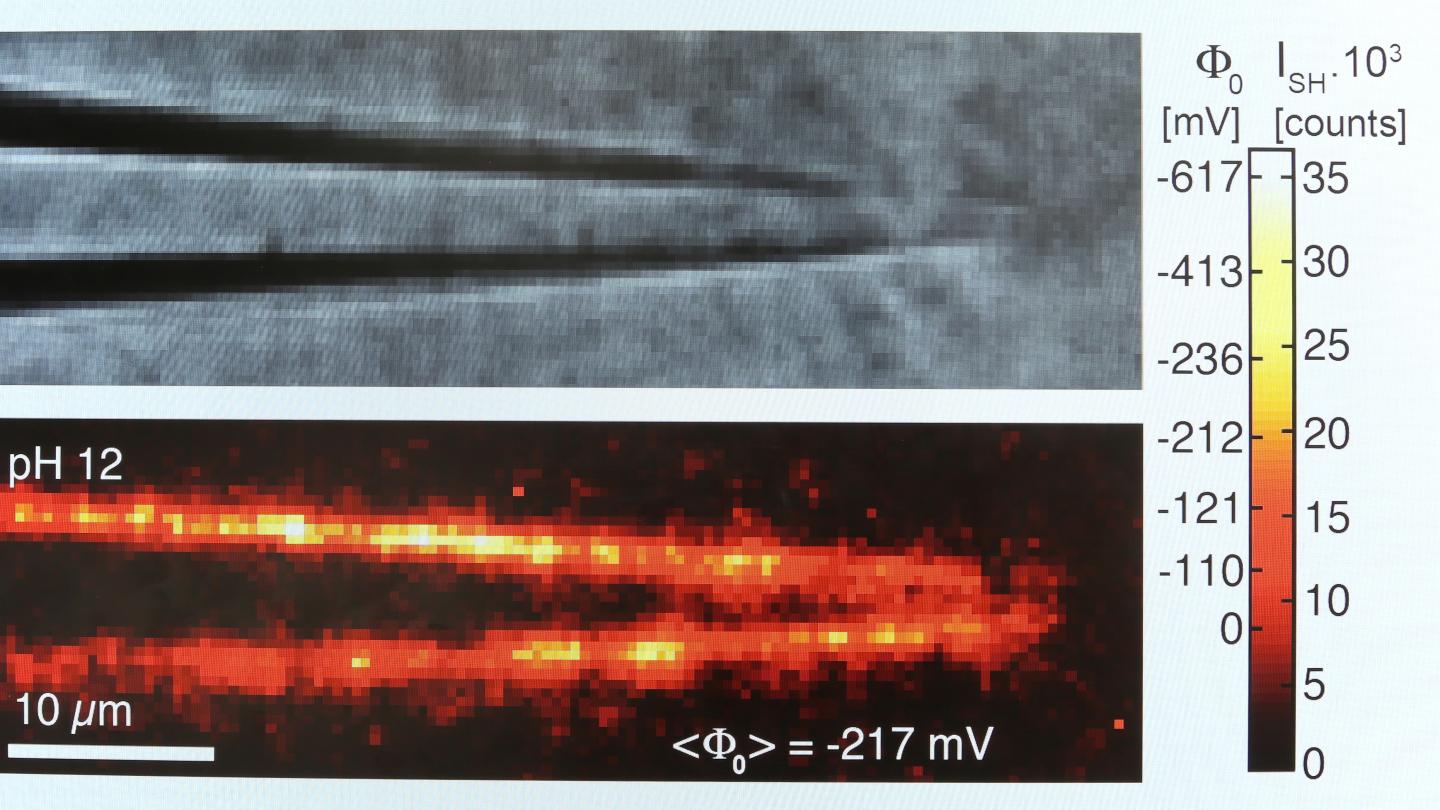 Optical Imaging Tool to Visualize Surface Chemistry in Real Time (2 of 2)