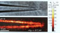 Optical Imaging Tool to Visualize Surface Chemistry in Real Time (2 of 2)