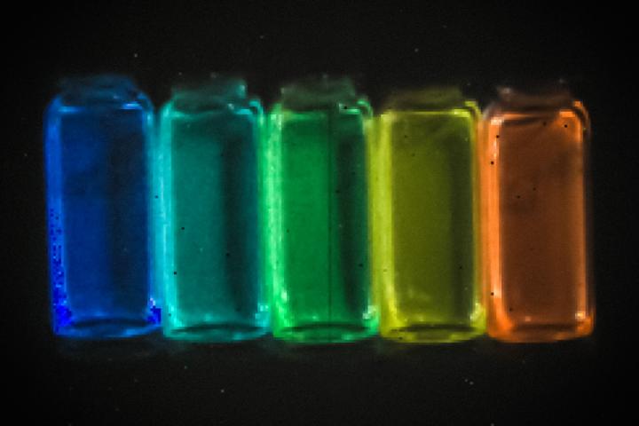Quantum Dot Imaging