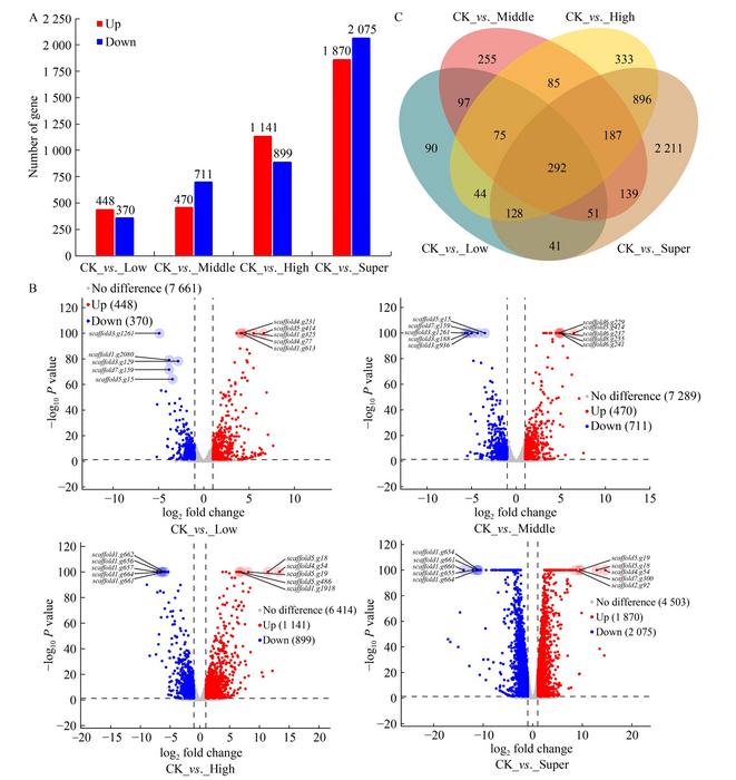 Analysis results of differential genes under different concentrations of flavonoids