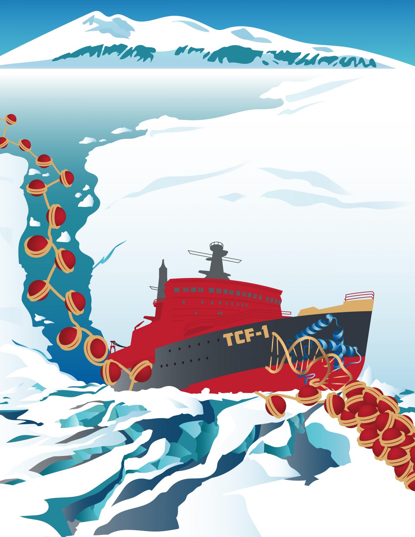 Icebreaker