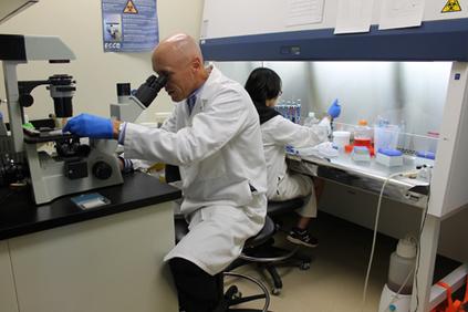 Scientists Working