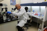 Scientists Working