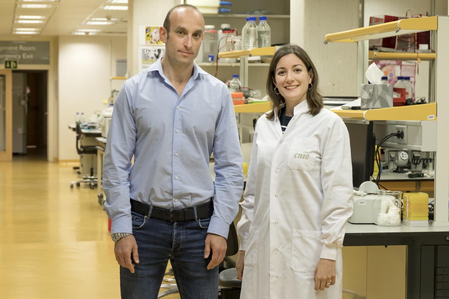Nabil Djouder and Almudena Chaves-Pérez, CNIO