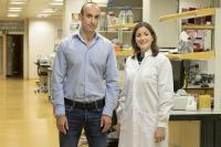 Nabil Djouder and Almudena Chaves-Pérez, CNIO