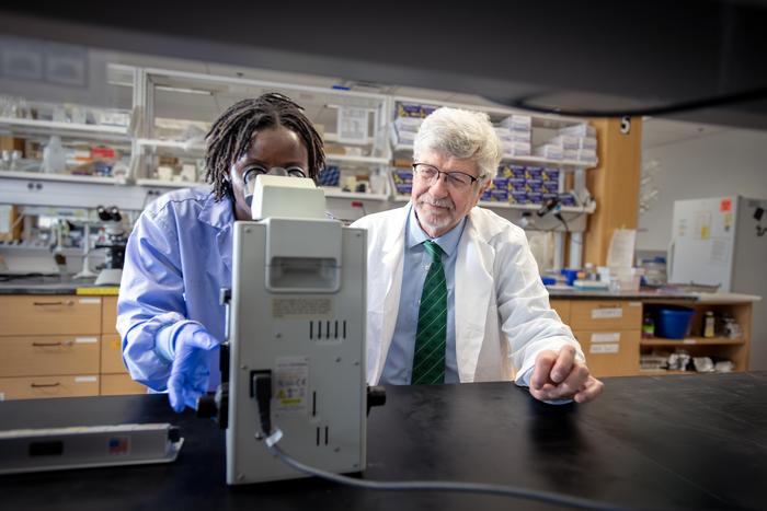 Sten Vermund (right) in the lab at the University of South Florida