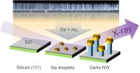 Scientists Observe Nanowires as They Grow