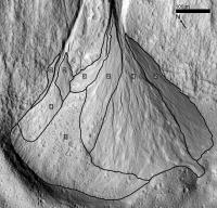 Lobed Gully