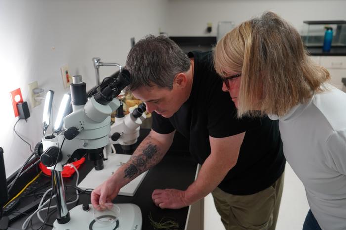 Louis Coticchio and Deby Cassill in lab examining specimens -- credit USF