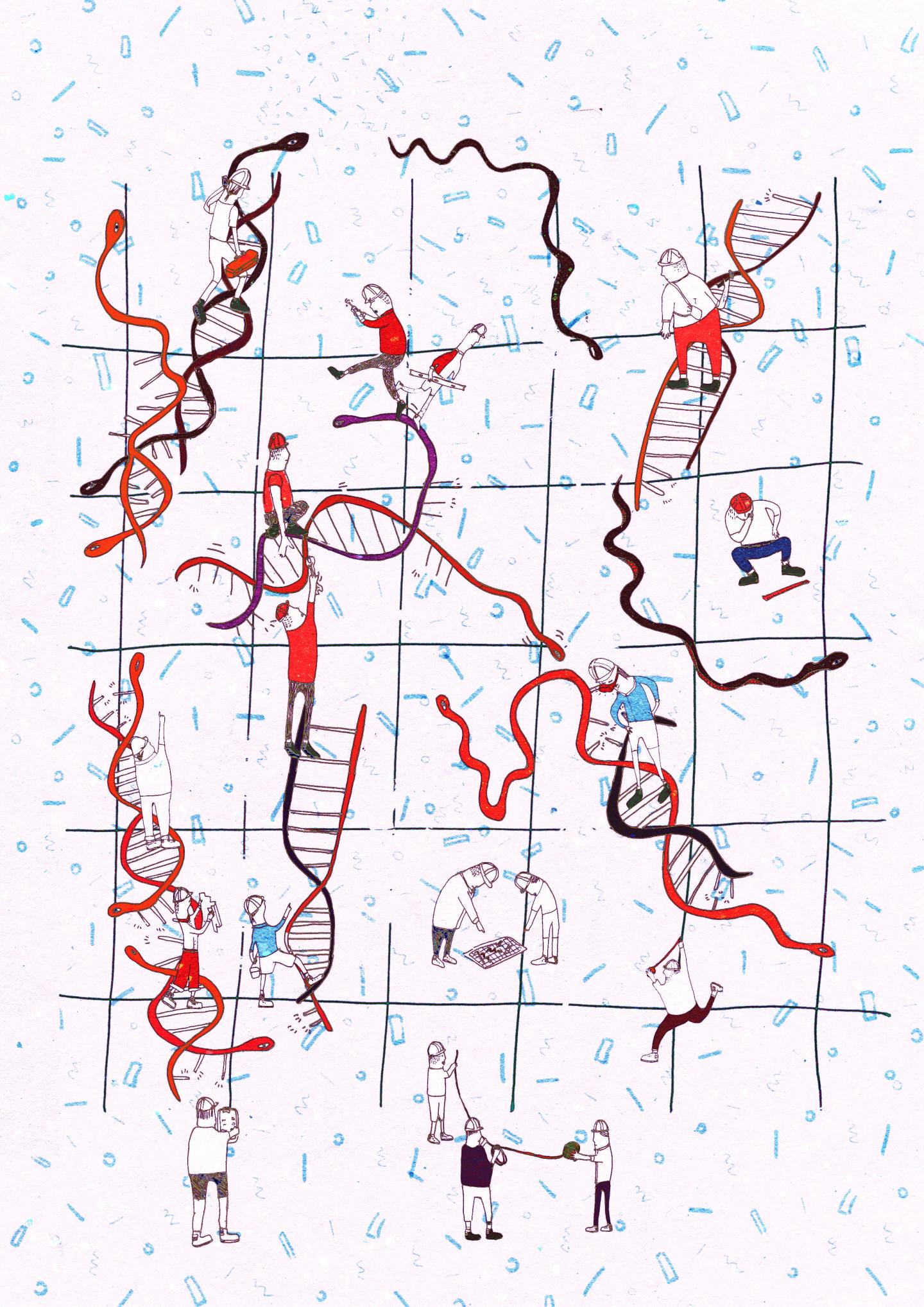 Snakes and Ladders