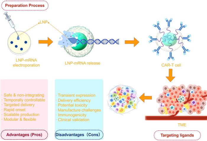 Advantages and challenges of LNP–mRNA delivery systems for engineered cell therapy
