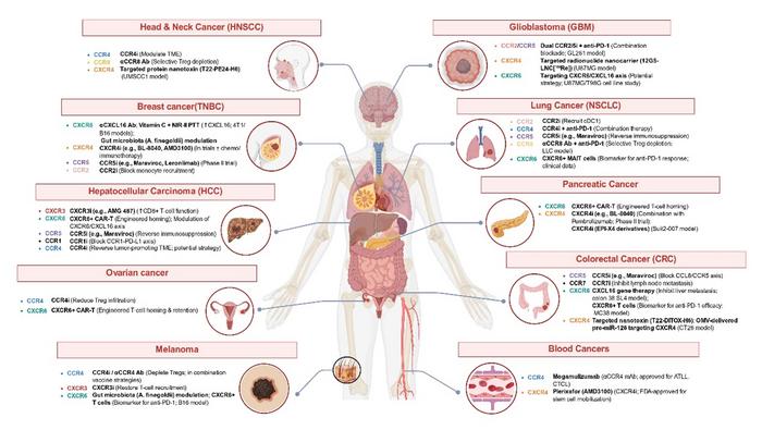 Overview of chemokine receptor-targeted therapeutic strategies across different cancer types.
