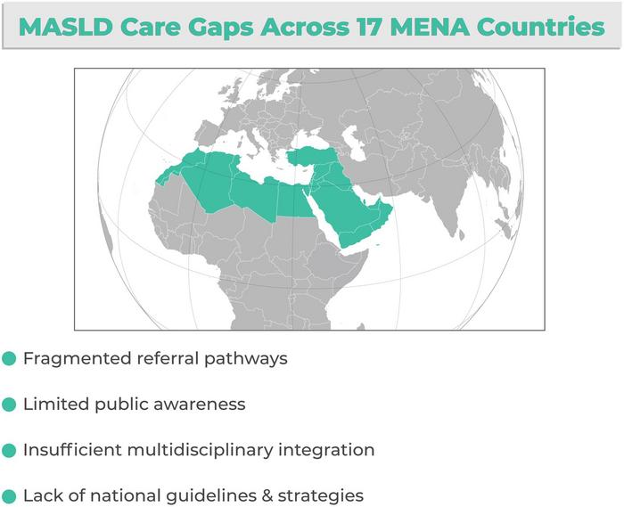 Mapping Metabolic Dysfunction-associated Steatotic Liver Disease Models of Care across 17 Middle East and North Africa Countries: Insights into Guidelines, Infrastructure, and Referral Systems
