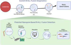 Long-Read Whole-Transcriptome Sequencing and Selective Gene Panel Profiling Enable Sensitive Detection of Fusion Oncogenes in Pediatric B-Cell Acute Lymphoblastic Leukemia