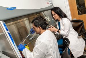 Heart disease research