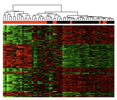 Gene Expression Map