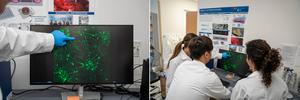Tringides lab