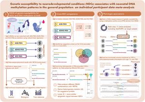 Genetic Susceptibility to Neurodevelopmental Conditions Associates With Neonatal DNA Methylation Patterns in the General Population: An Individual Participant Data Meta-Analysis