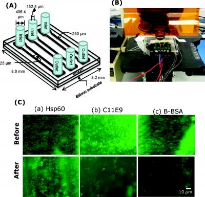 Biochip for Capturing Listeria