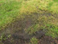 Laterite Pool