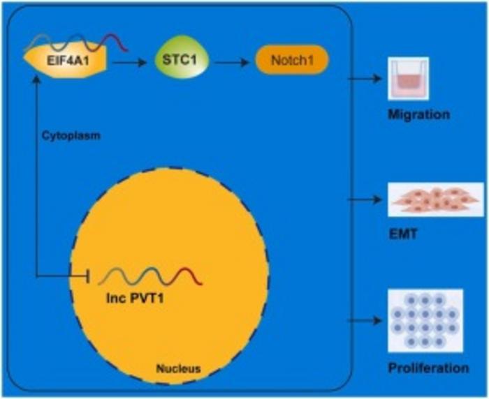 Graphical Abstract
