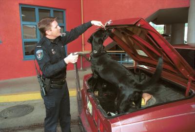 Canine Car Search