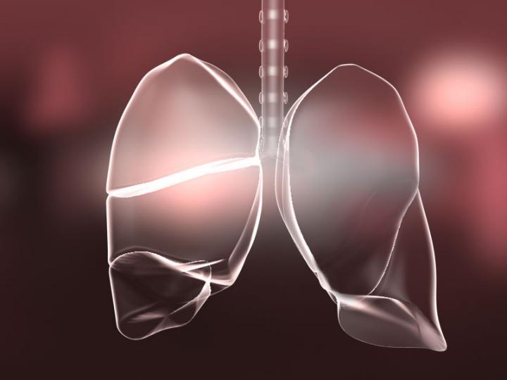 A Triple Attack Against Inflammation (1 of 1)