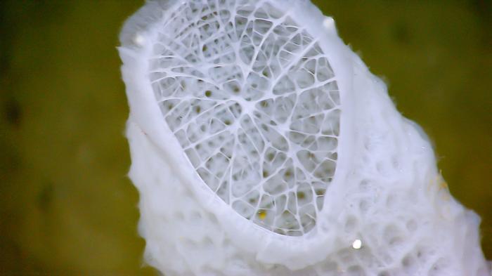 Researchers capture nanoparticle movements to forge new materials