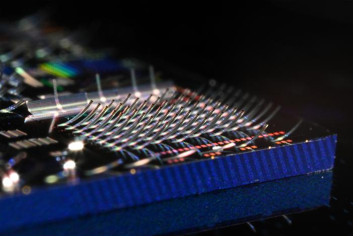 Photonic Chip