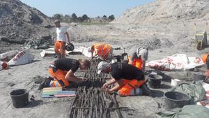 Fishing for millennia: Effects and impacts of prehistoric fishing in the Syltholm Fjord, Denmark