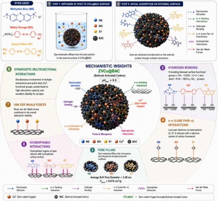 Multiple mechanisms support adsorption-based removal of cationic and anionic dyes by ZVCu@BAC composite