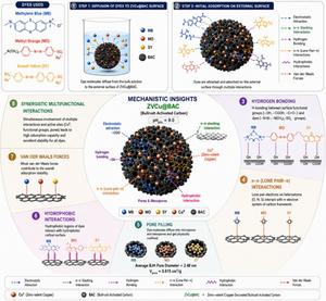 Multiple mechanisms support adsorption-based removal of cationic and anionic dyes by ZVCu@BAC composite
