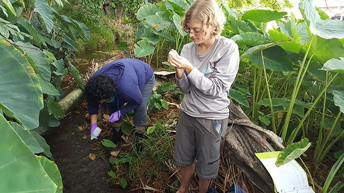 Microbiology Sampling