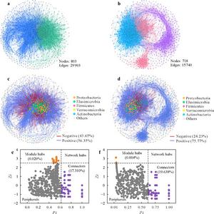 Microbial Network Shifts Under Different Tillage Practices.