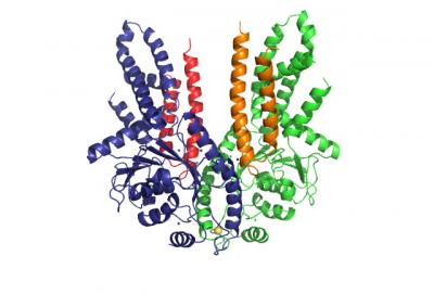Get3 Receptor Complex